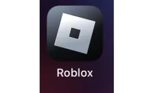 Аккаунты Игры Roblox (не Премиум)